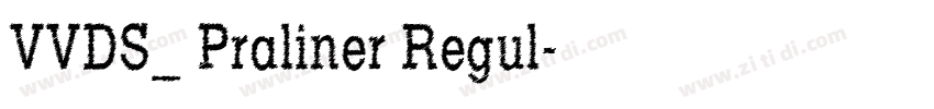VVDS_ Praliner Regul字体转换